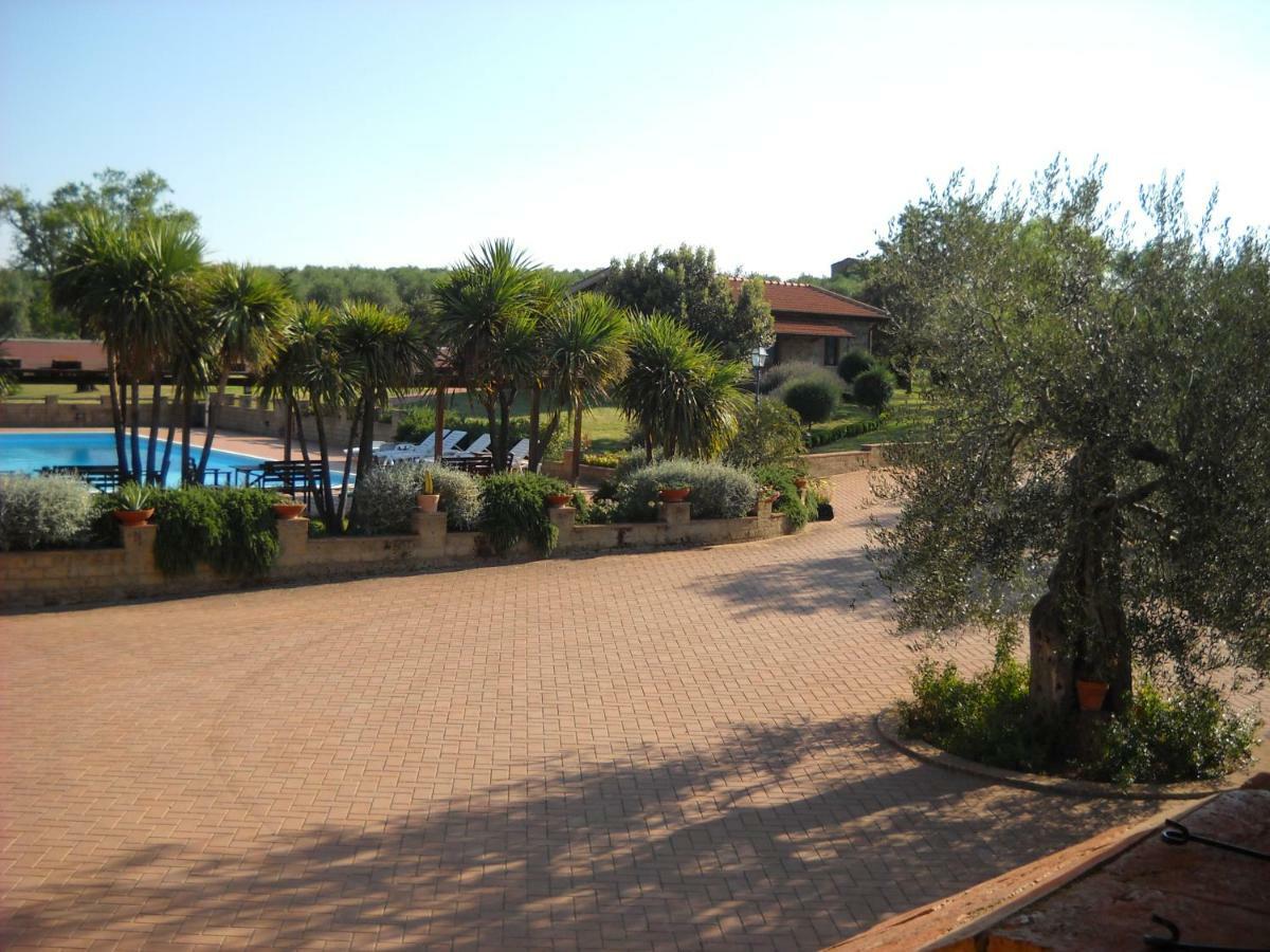 Agriturismo Podere Del Vescovo Montenero d'Orcia Exterior photo