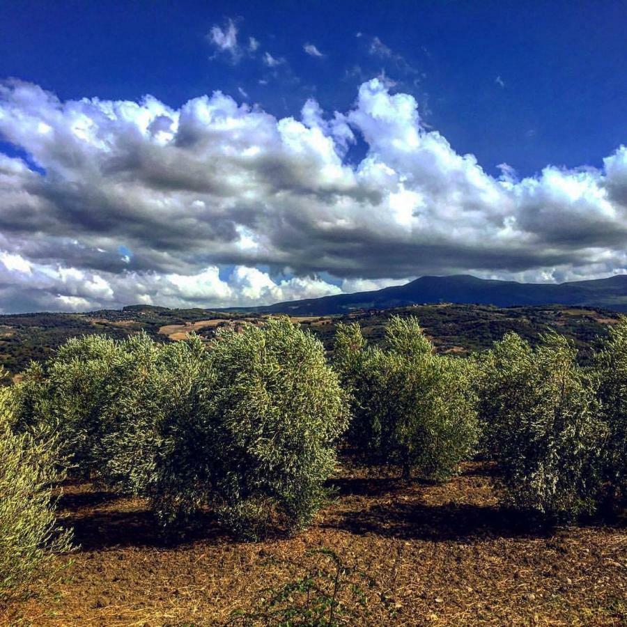 Agriturismo Podere Del Vescovo Montenero d'Orcia Exterior photo