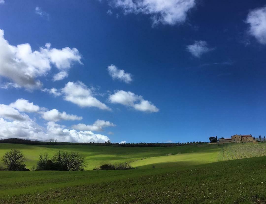 Agriturismo Podere Del Vescovo Montenero d'Orcia Exterior photo